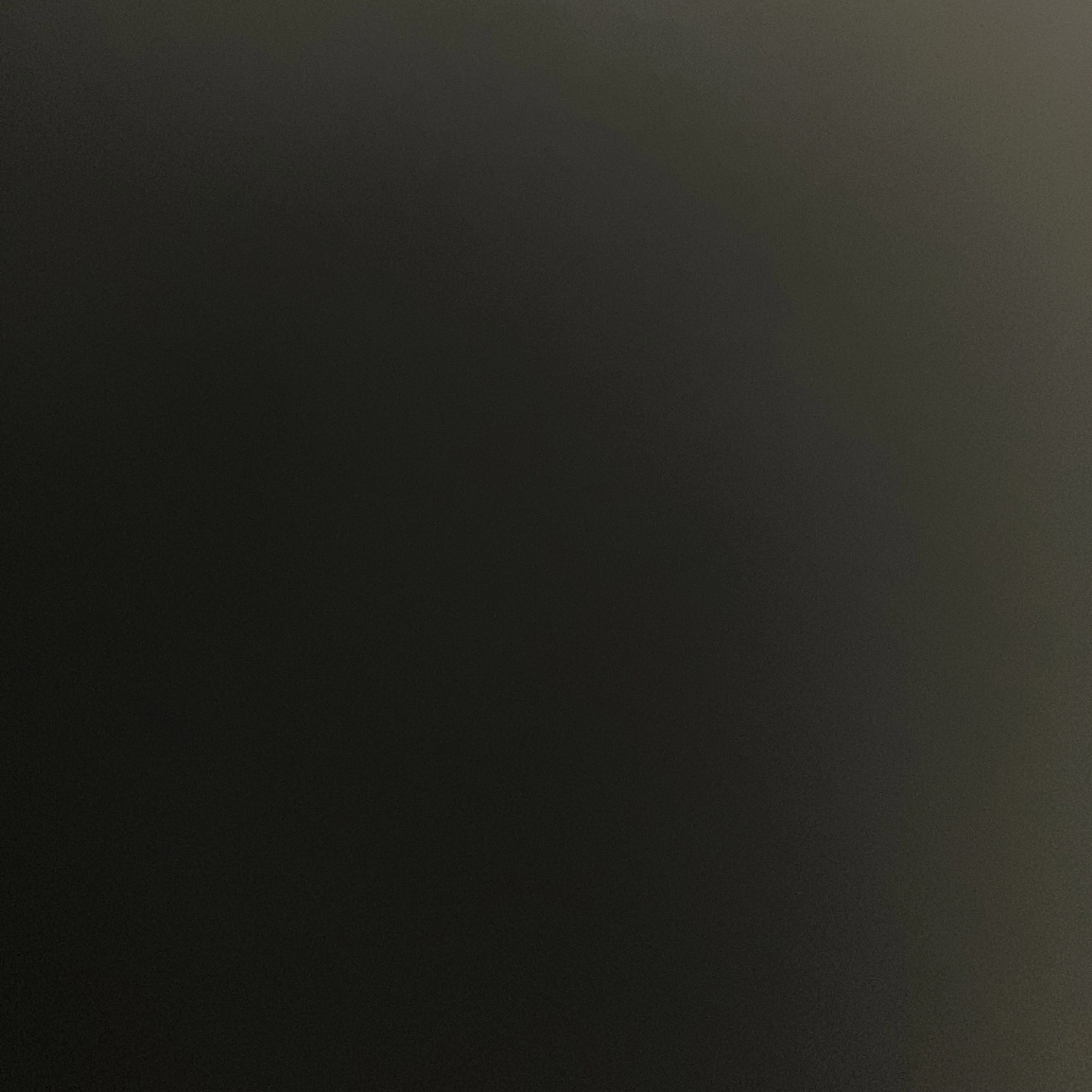 정이현 정도화