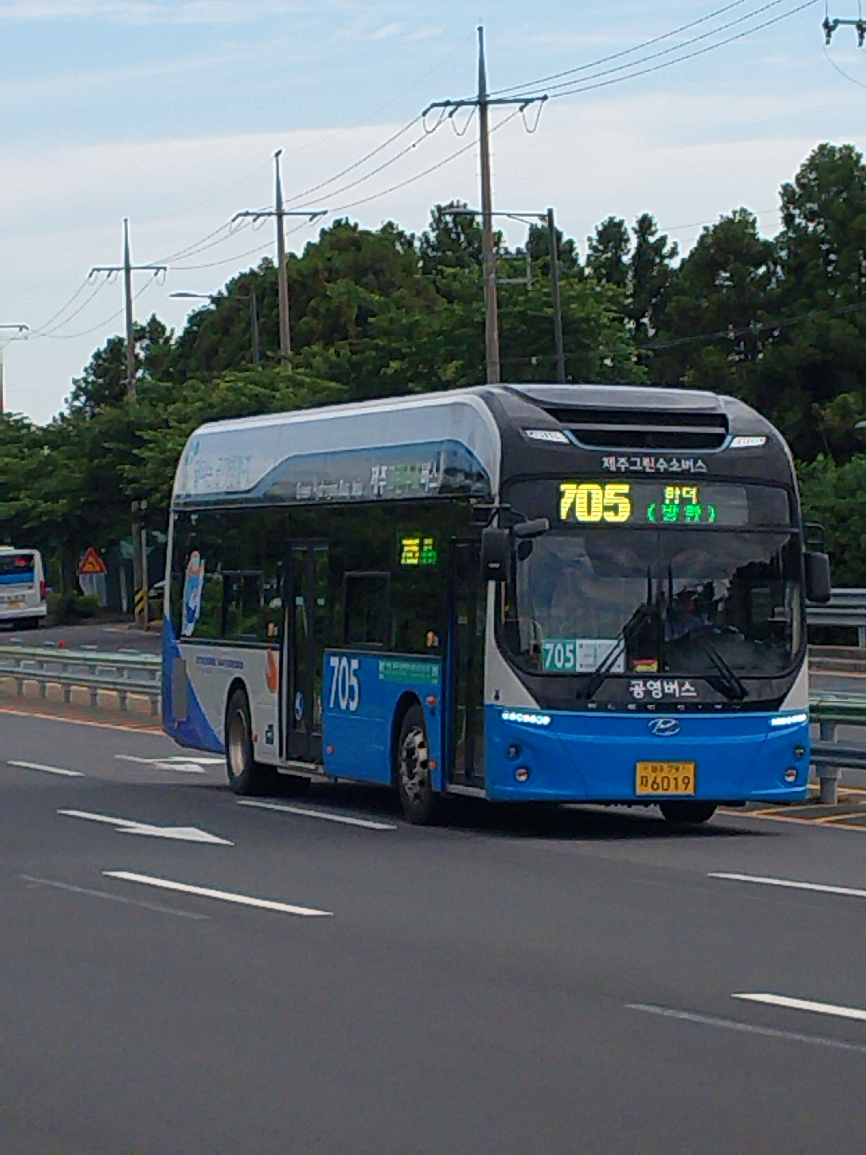 JEJU🇰🇷🍊🚌 대표 이미지