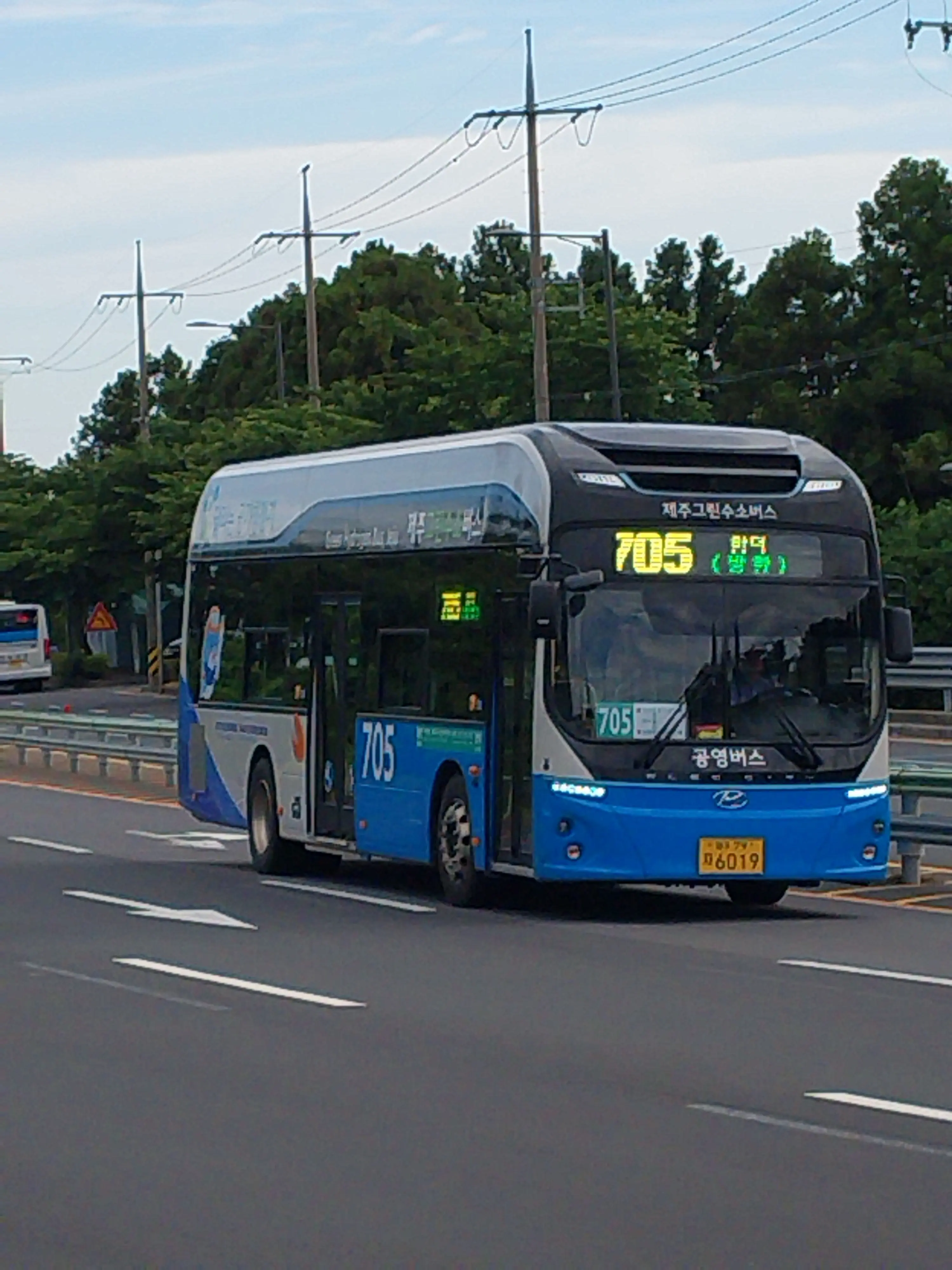 JJEEJJUU의 JEJU🇰🇷🍊🚌