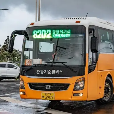 Profile image of 관광지순환버스