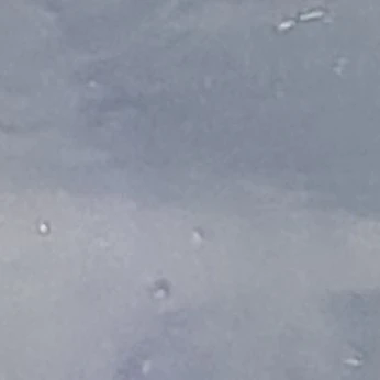이환