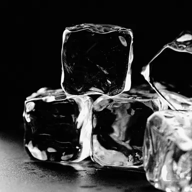 Profile image of 레온 아델하이트