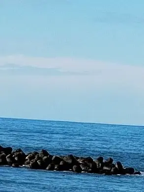 Siraiwa_yuki의 何でもありの世界