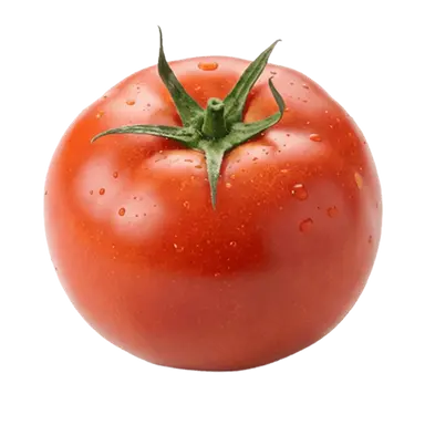 Profile image of 아무거나