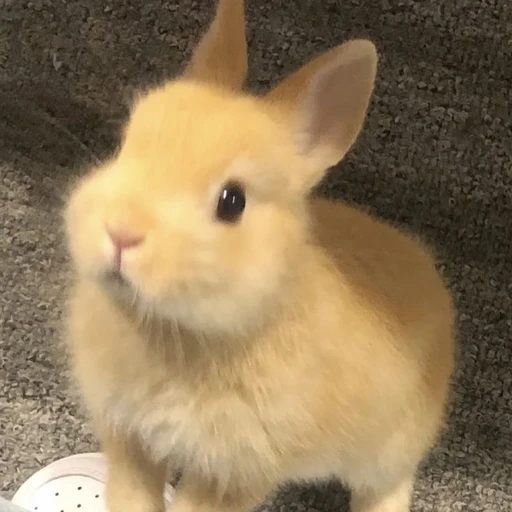 이민호