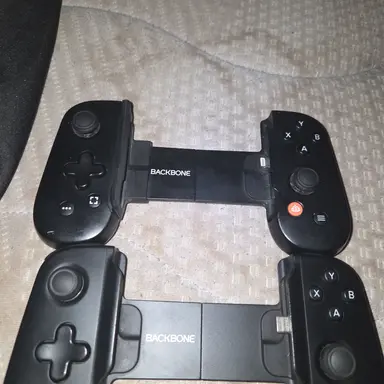 Profile image of Elara Ming