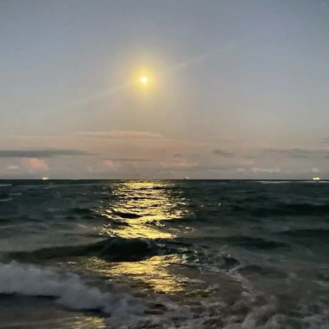 otaku-free18의 熱血漢の最初で最後の恋。