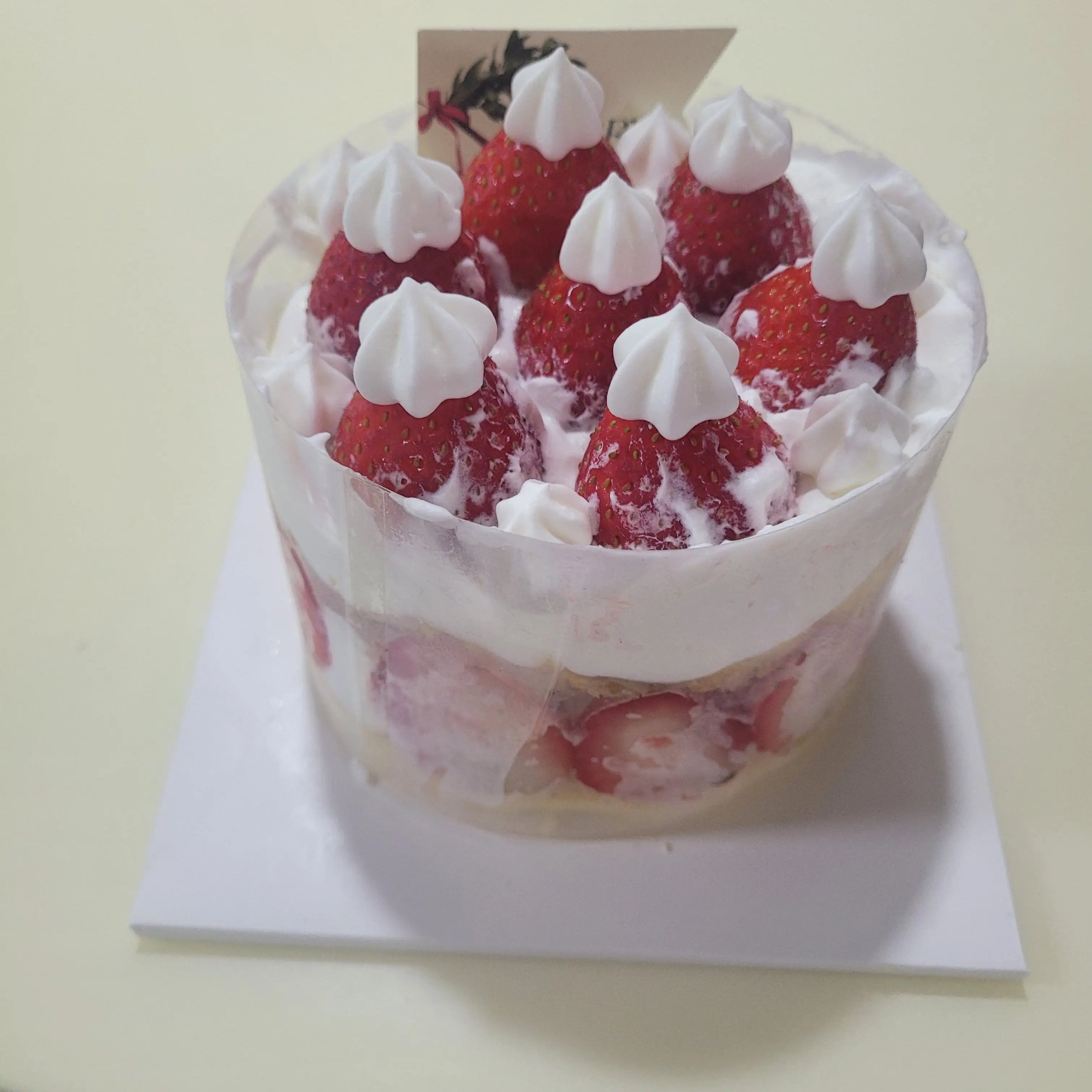 CostlyCharm1121의 팀나빠 여우