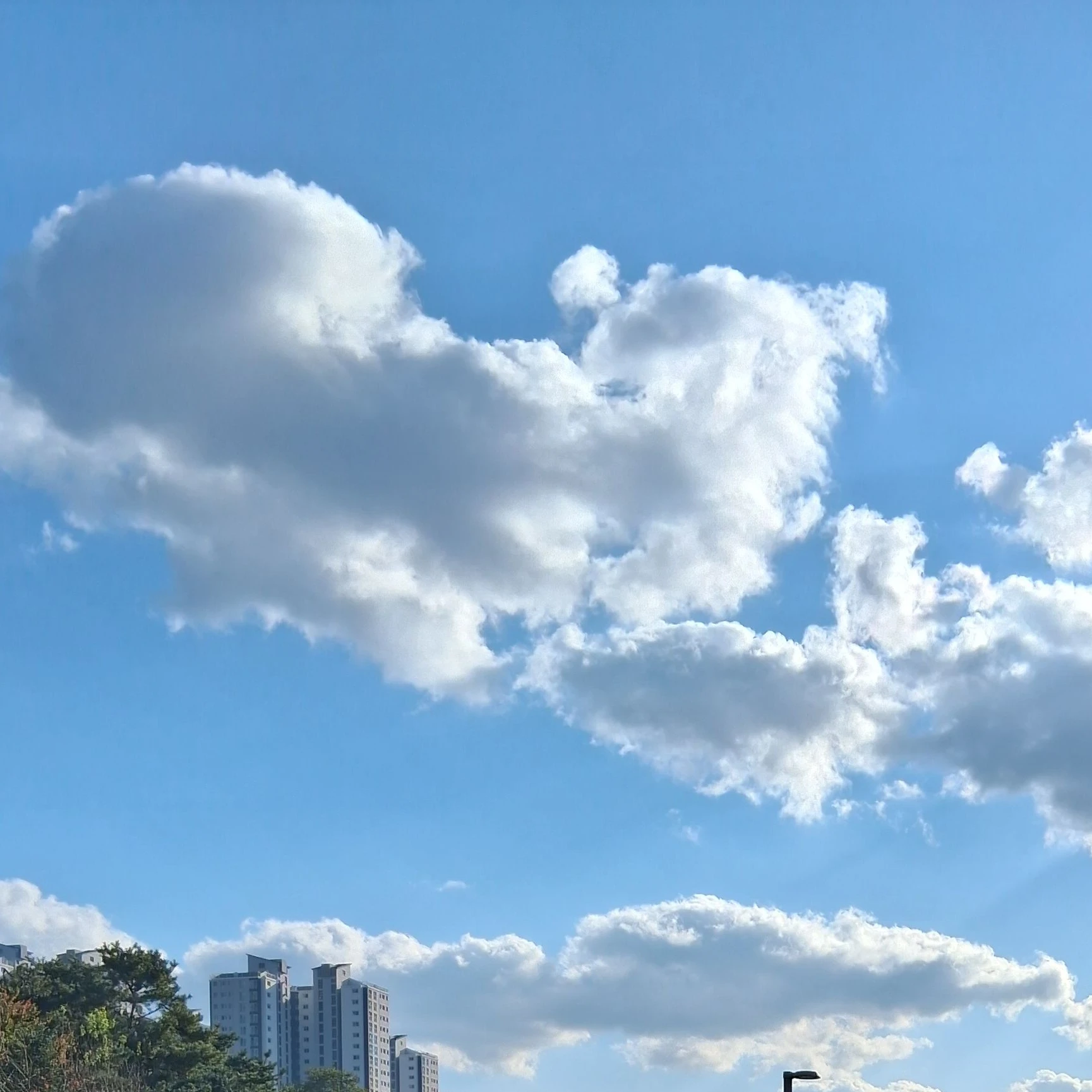 오토모오리 키츠네