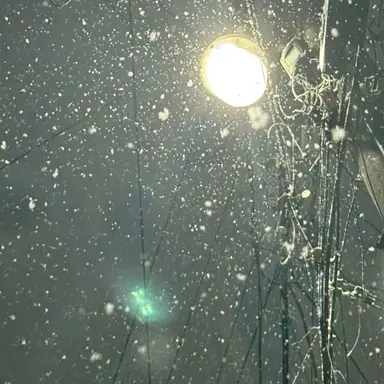 Profile image of 공룡