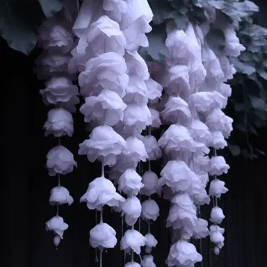 Profile image of 센 프라우드