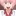 コーイチ