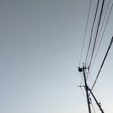 Profile image of からぴちのファン達