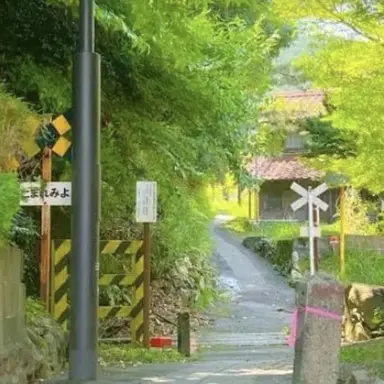 Profile image of 우유참치