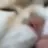 여우
