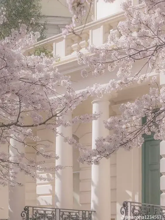 Nothing1to1do의 からぴち学園
