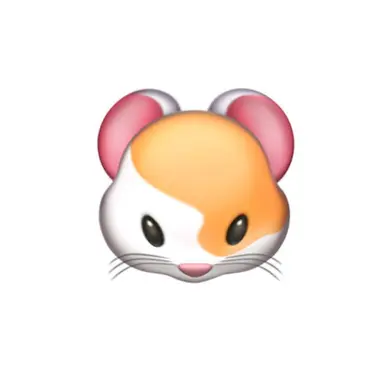 Profile image of ヒスン