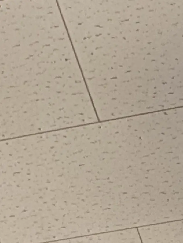 Kurosann의 弟ぉ！