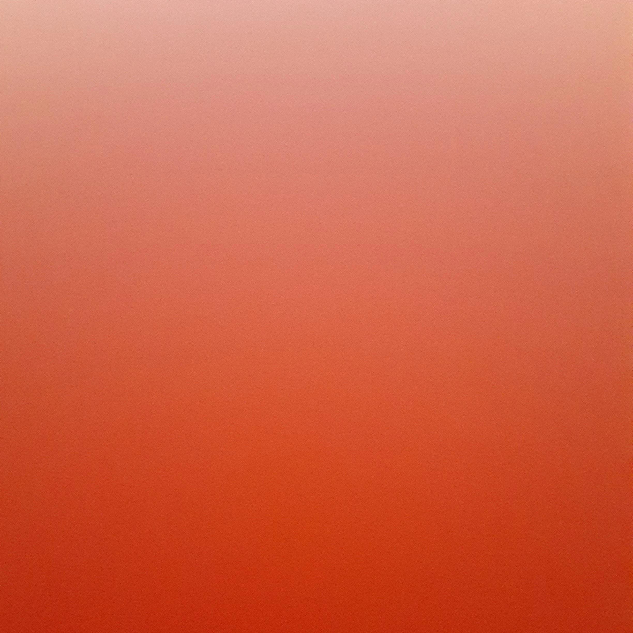 전정국