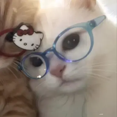 Profile image of 박타쿠