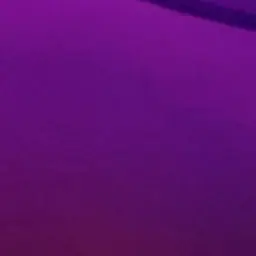 Profile image of 베르