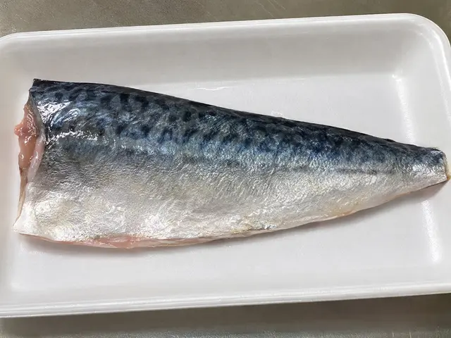 Profile image of Mackerel