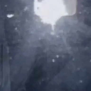 Profile image of 양정인