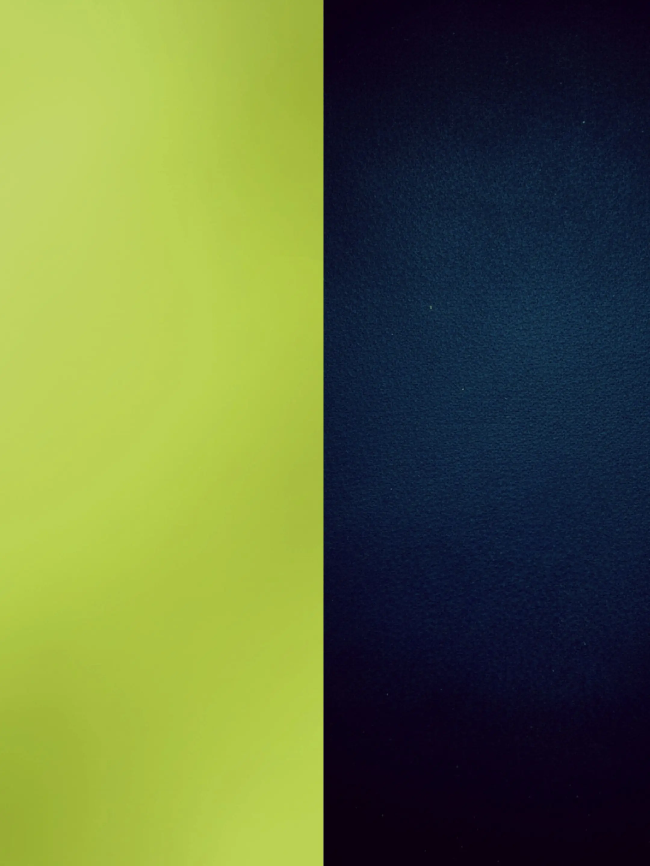 RacialCrumb4949의 やけに懐いている2人