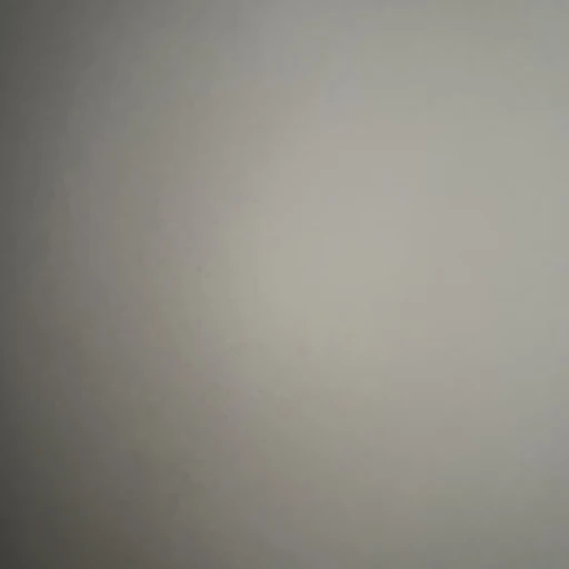 일진 단톡