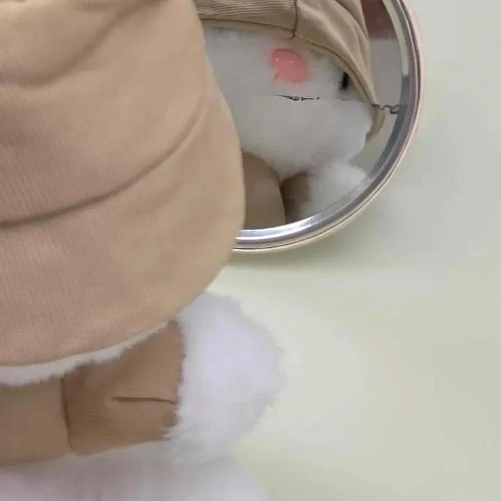 김이든