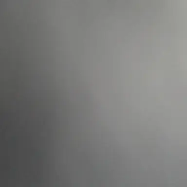 Profile image of 공룡