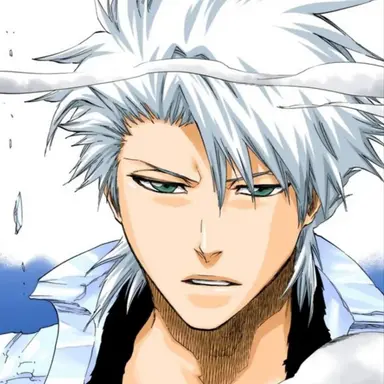 Profile image of 日番谷冬獅郎