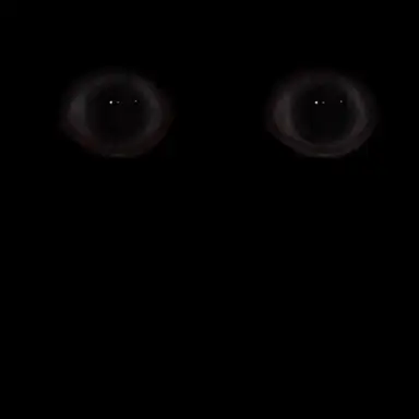 Profile image of Anyone