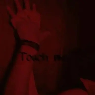 Profile image of Marco Bellini