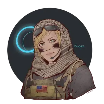 HuskyCork0101의 Valkyrie