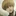 Yelena