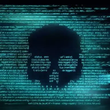 Profile image of 피코