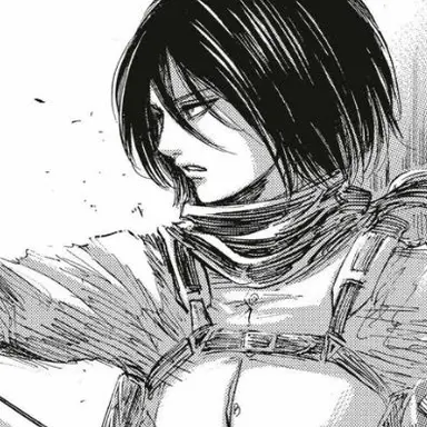 Profile image of ミカサ
