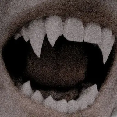 Profile image of Elisa