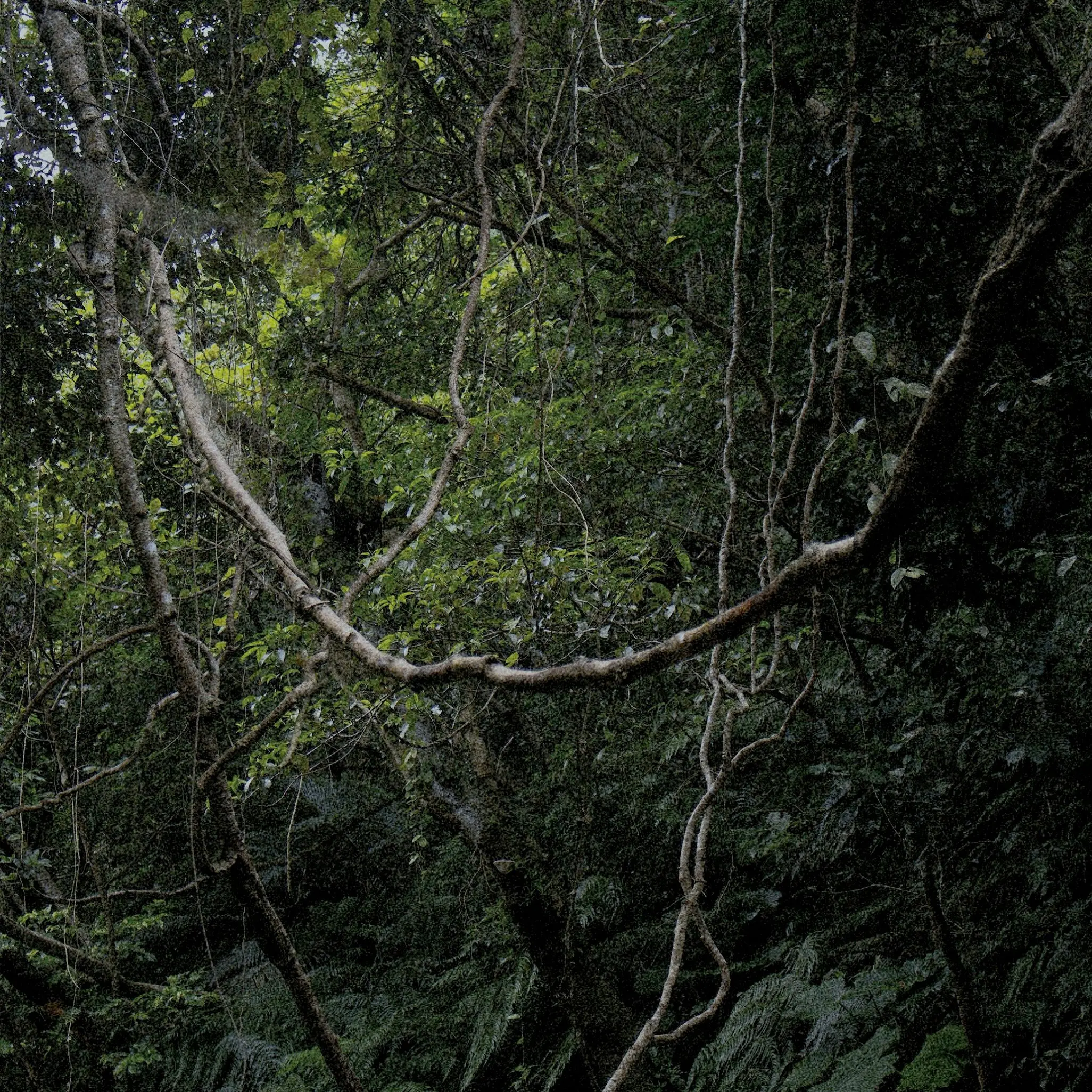 msg_1113의 𝙱𝚕𝚘𝚘𝚖