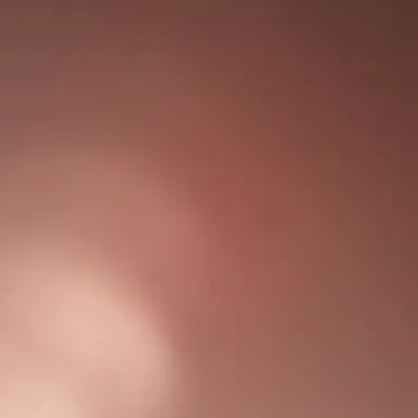 Profile image of 안수호