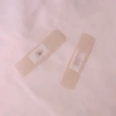 Profile image of 준브레드