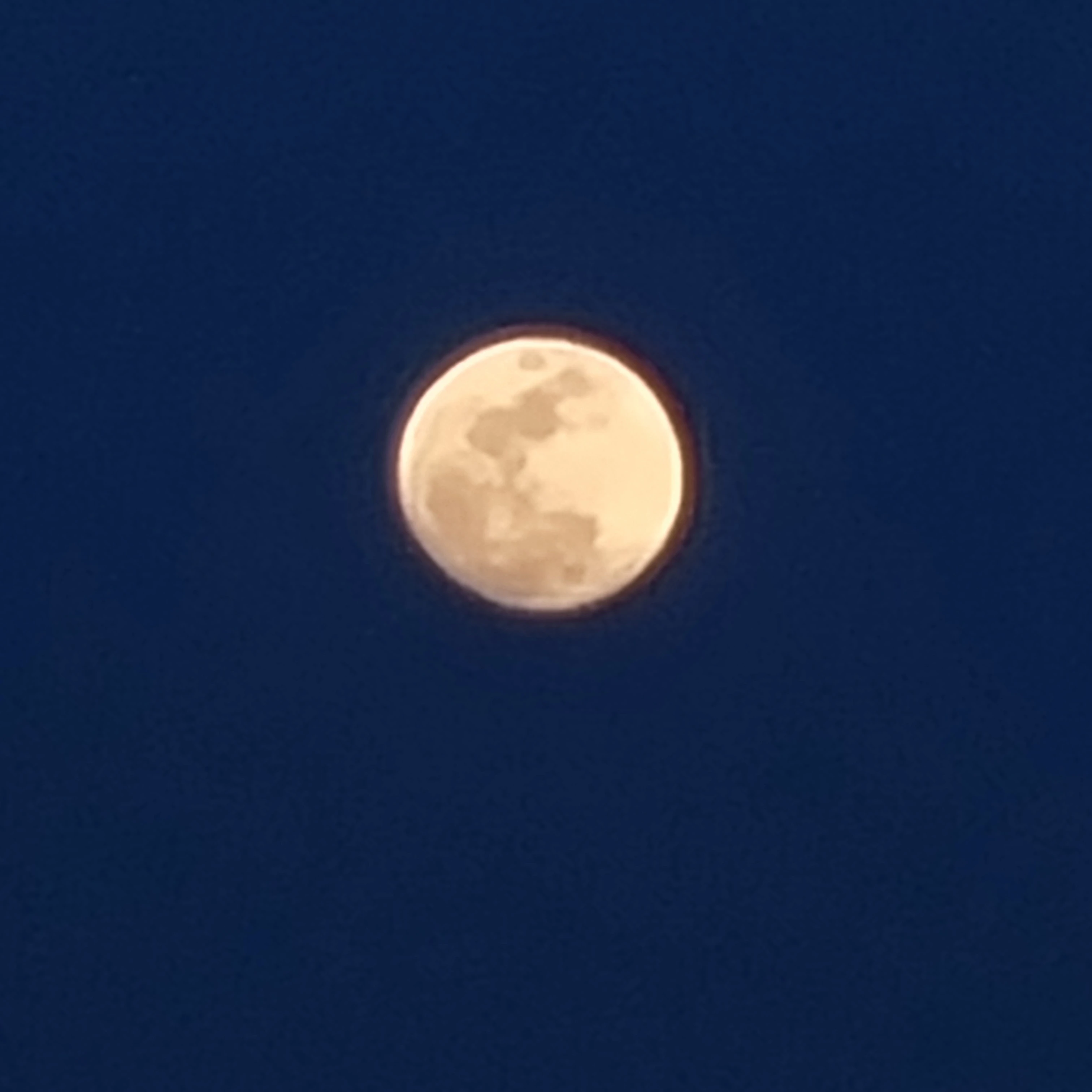 윤정핝