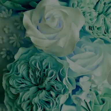 Profile image of 히비노 카프카