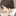 六月遊馬