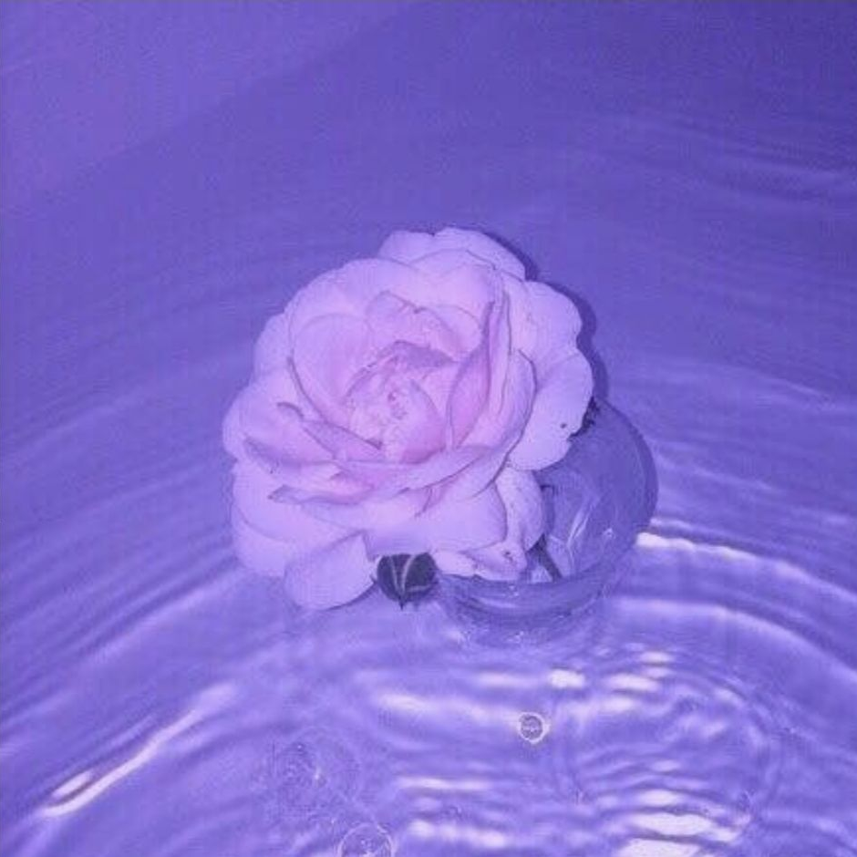청춘이였다 대표 이미지