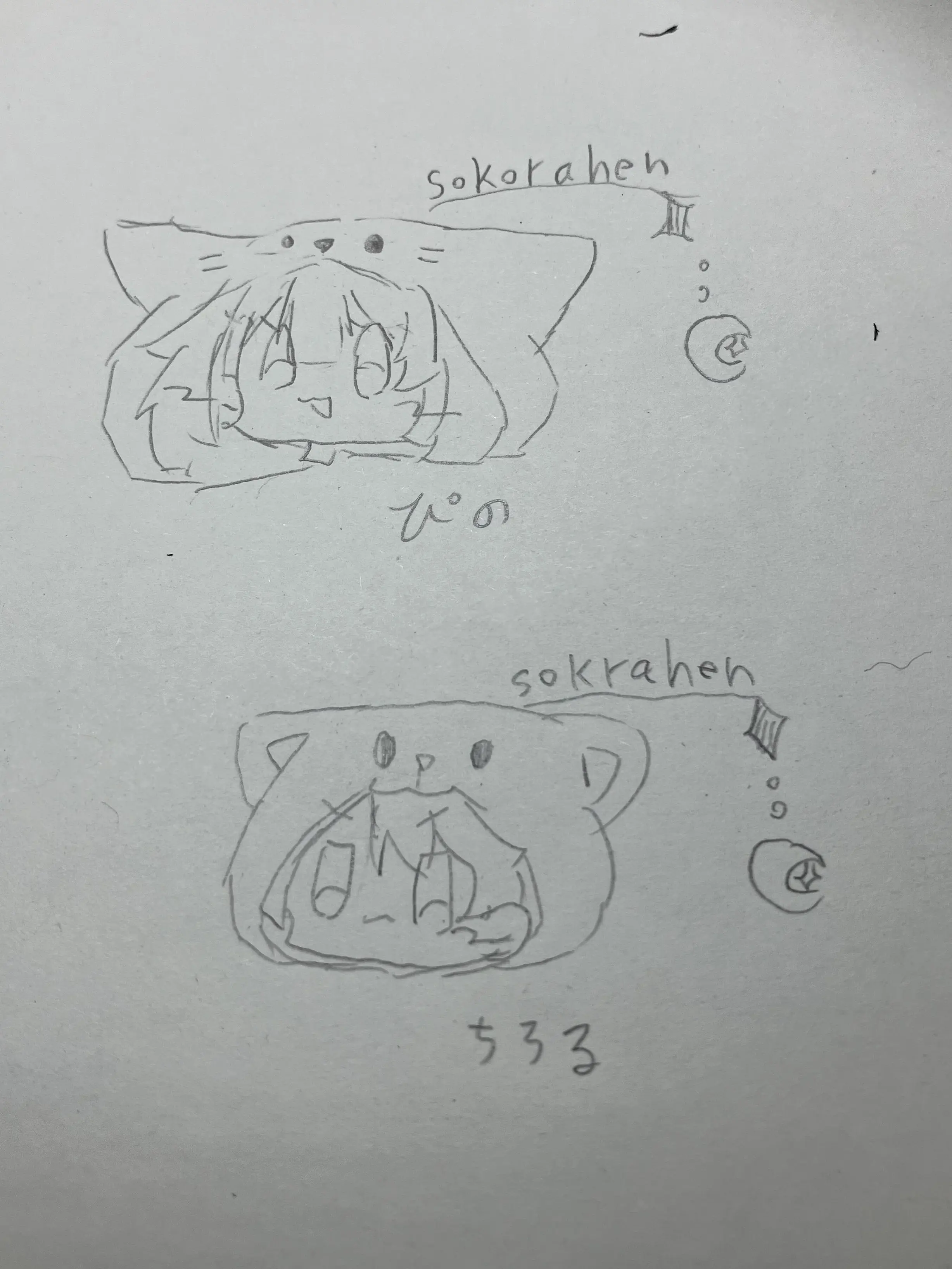 Sokorahen0834의 からぴち、ちろぴの、東方っ！合体（？）