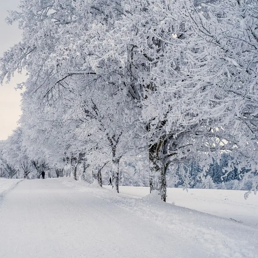 GoodJaw5711의 이센그라드