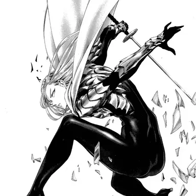 Profile image of 섬광의 플래시
