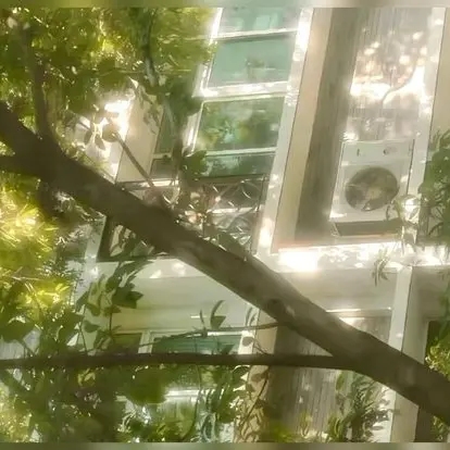 StableRat3898의 시게지기